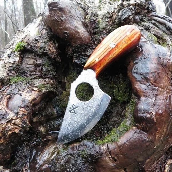 A knife is sitting on the bark of a tree.