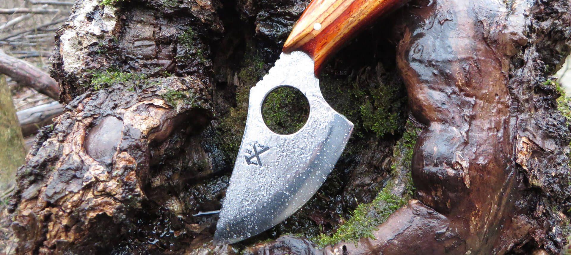 A knife is being used to cut through the bark of a tree.