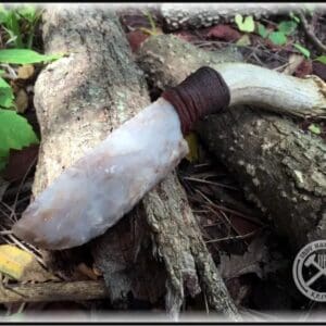 A white horn laying on top of a tree.