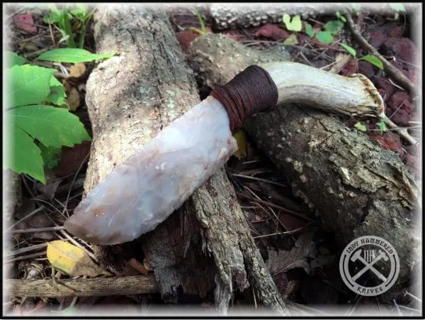 A white horn laying on top of a tree.